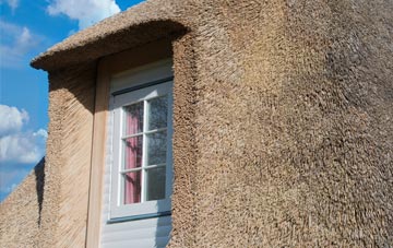 Grobister thatch roof disadvantages