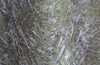 Grobister fibreglass roof work