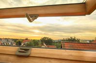 rated Grobister roof window companies